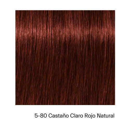 IGORA ABSOLUTES - ROJOS - Coloración Permanente - SELFIE