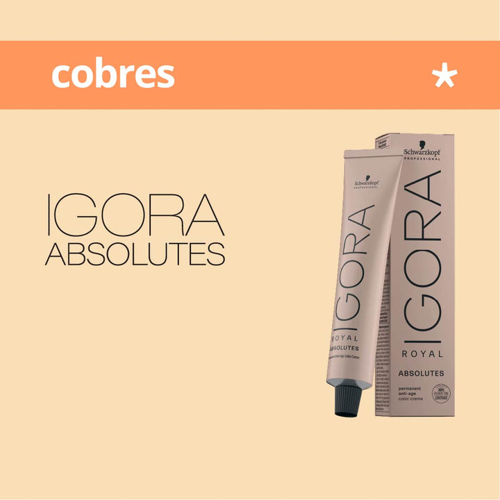 IGORA ABSOLUTES - COBRES - Coloración Permanente - 60ml