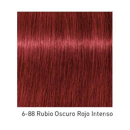 IGORA COLOR 10 - Coloración Permanente Express - 60ML