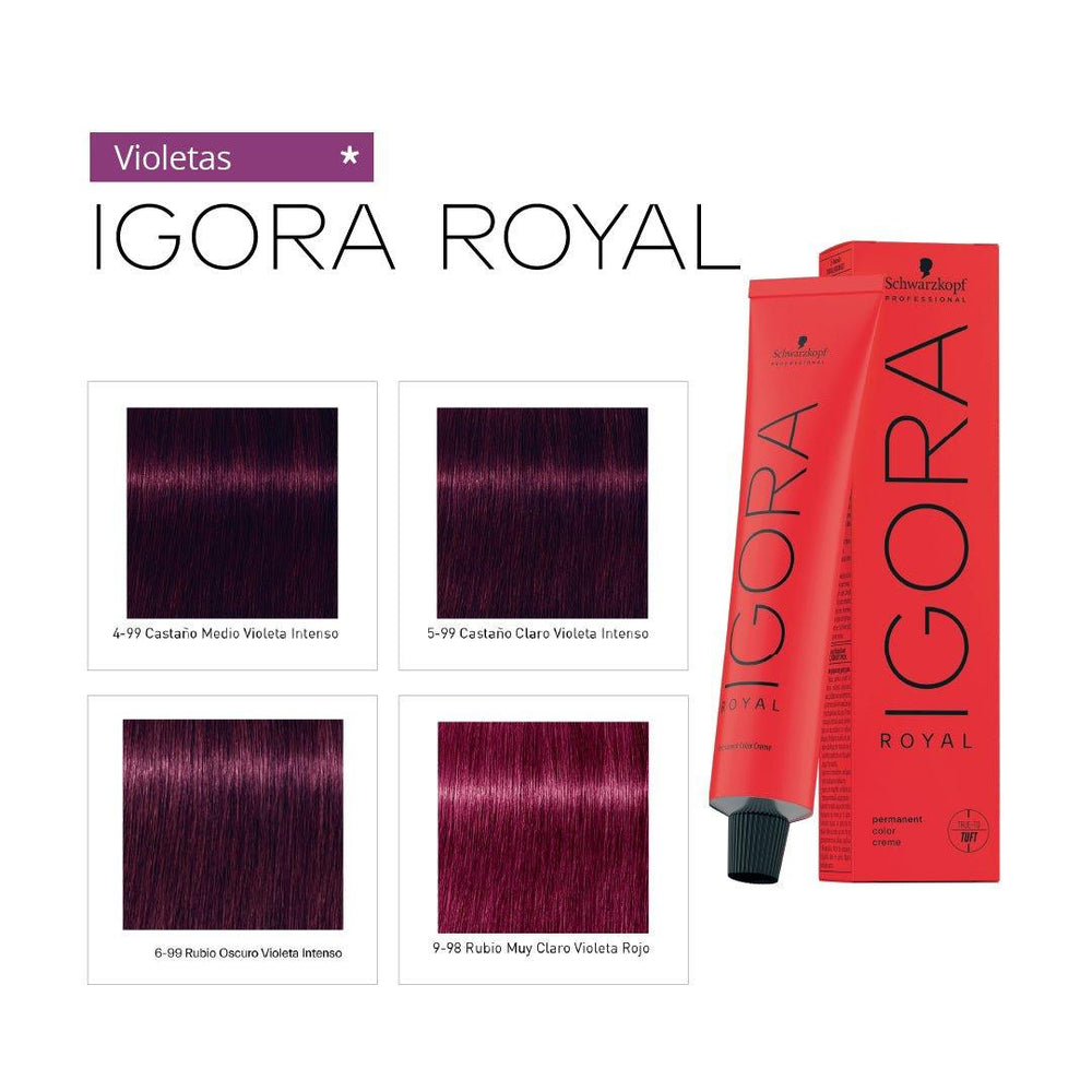 IGORA ROYAL - VIOLETAS - Coloración Permanente - SELFIE